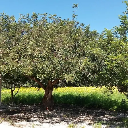 بيت للعطل Gio' *