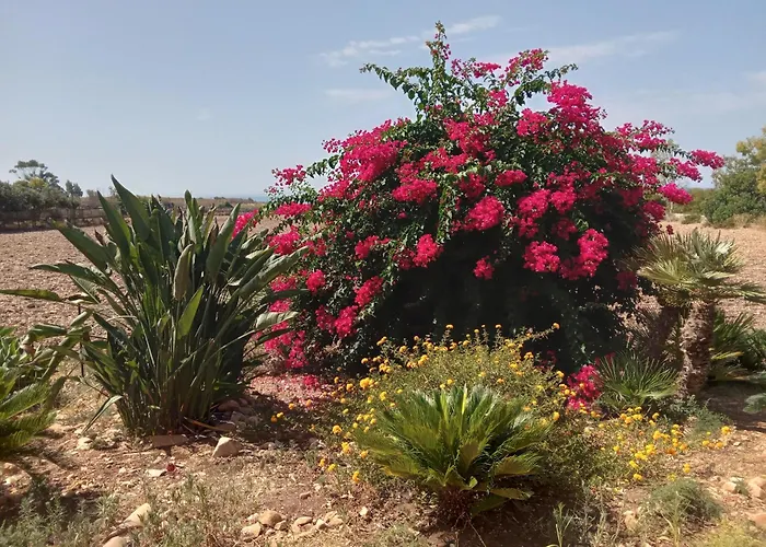 Gio' בית נופש *